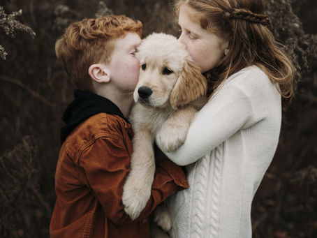 Covid Pups - Has Ireland lost the run of itself?