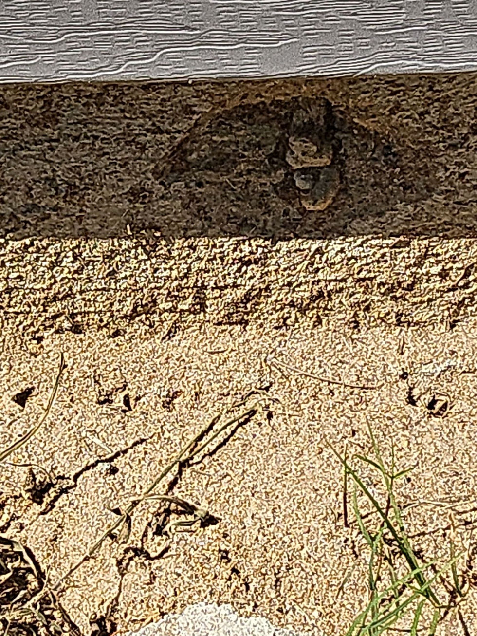 Chipped concrete and visible epoxy at slab edge anchor location