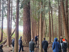 Sunshine Coast Community Forest Recognized as Qualified Donee by Canada Revenue Agency