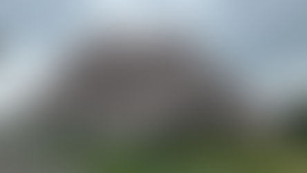 お花見に行こう