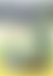 是非、読んでください！