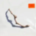 ree