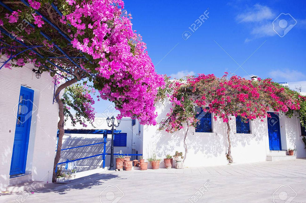 67560500-traditional-greek-house-with-flowers-in-paros-island-greece-blue-door-and-blue-wi