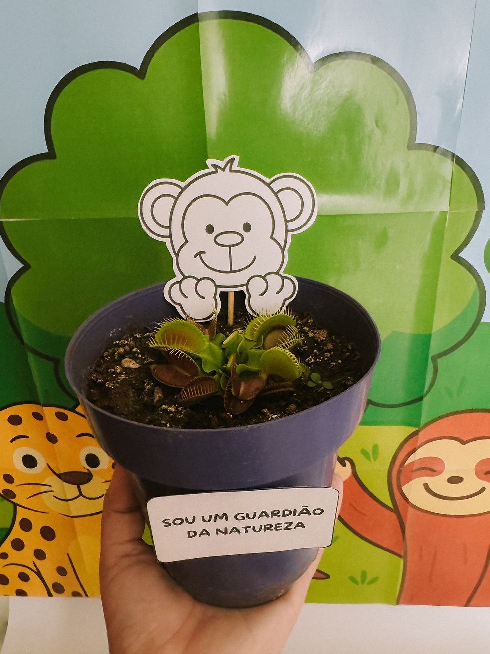 Miniatura: 🌳 Plano de Aula: Dia da Árvore – Os Guardiões da Floresta