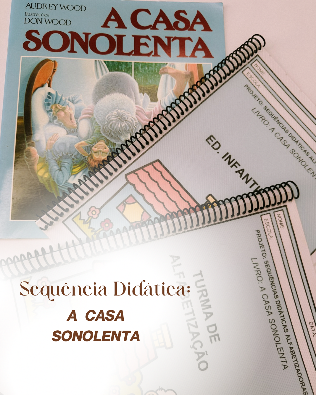 Sequência didática: A Casa Sonolenta.