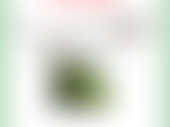 一家に一本 ティートリーのチカラ