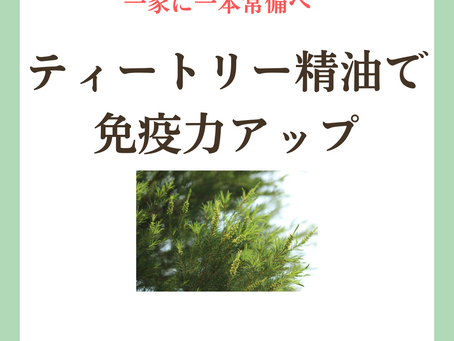 一家に一本 ティートリーのチカラ