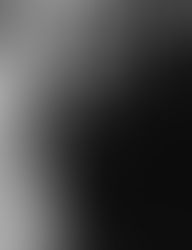 Elora Mill Wedding Inspired by Italian Tradition