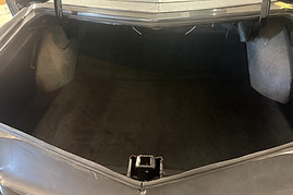 Trunk liner .jpg