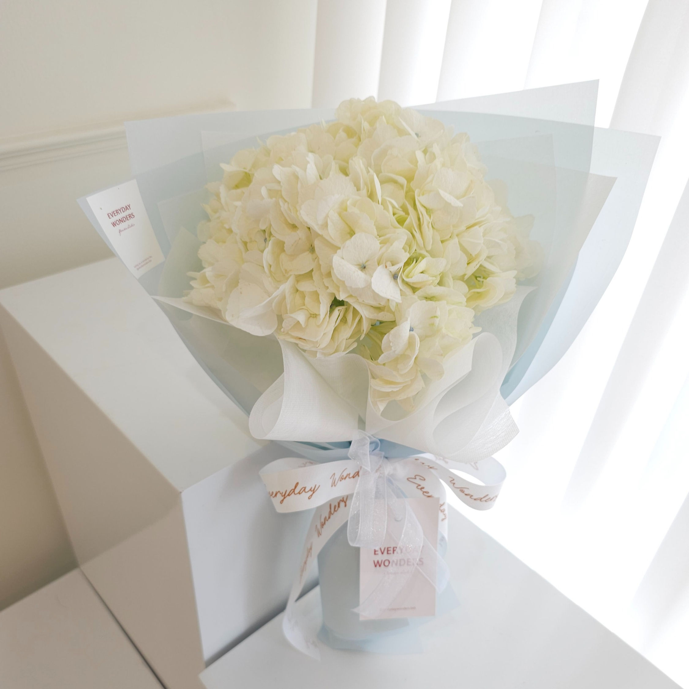 Hydrangea bouquet size S : white