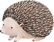 Drawing of Hedgehog