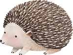 Zeichnung von Hedgehog