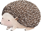 Drawing of Hedgehog