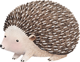 Drawing of Hedgehog
