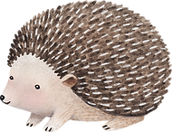 ヘッジホッグの描画