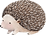 Drawing of Hedgehog