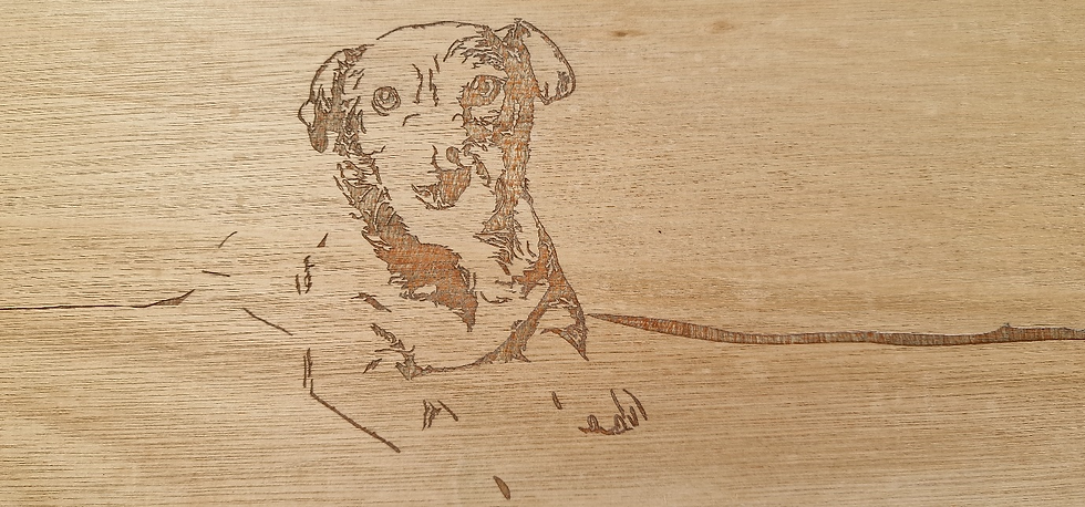 Laser Engraving Test