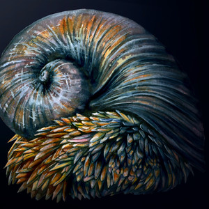 Scaly Footed Gastropod
