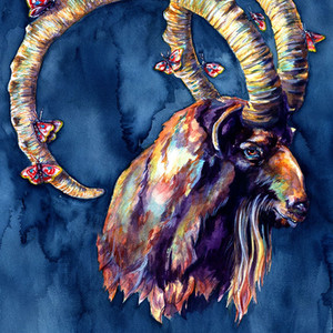 Goat and Moths