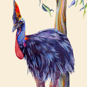 Cassowary