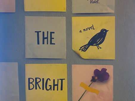 All the Bright Places: Exploring Mental Health