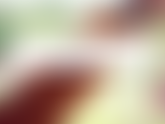 How to Choose the Perfect Cricket Bat