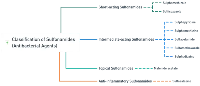 Classification of Sulfonamides (Antibacterial Agents)