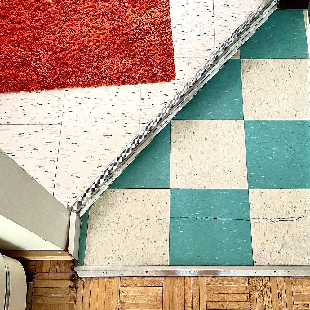 Red shag rug, teal checkered and wood floors meet