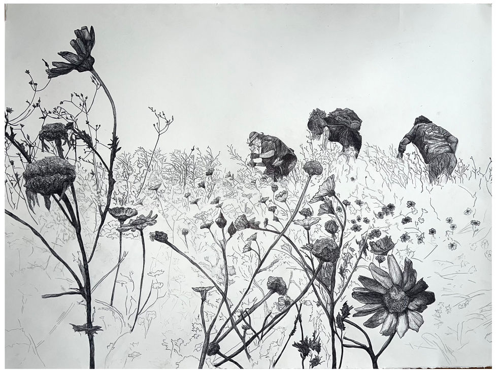 Miller's Flower