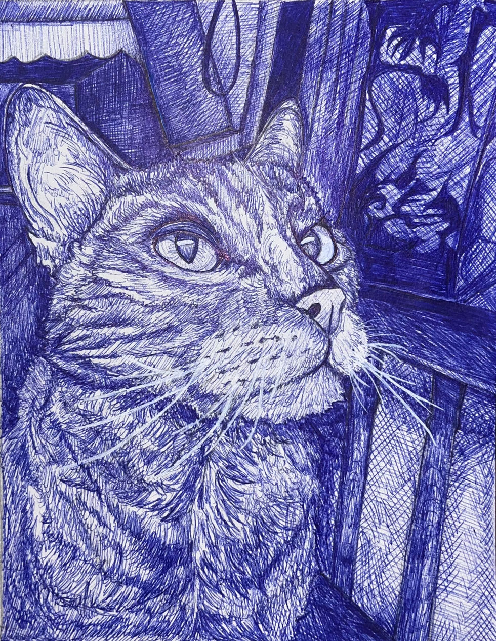 Mimi