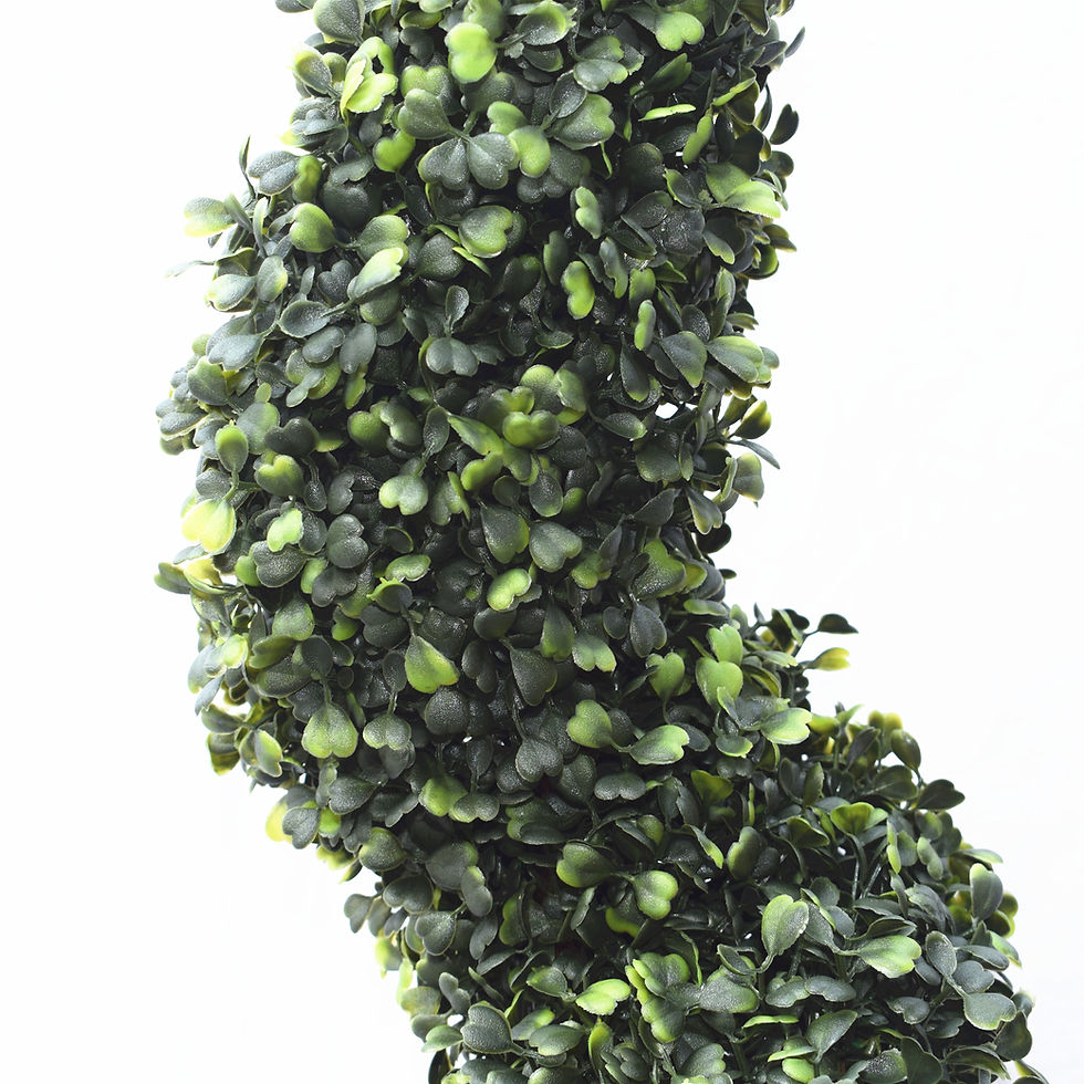 Thumbnail: BUXUS SPIRAL TOPIARY 90CM