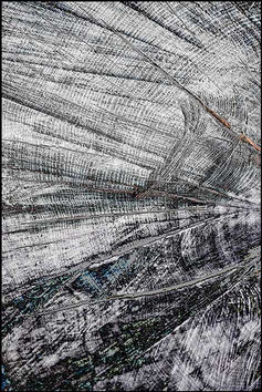 Fine Art Photograph teleg.r.a.p.h. - Wilpsize Gallery