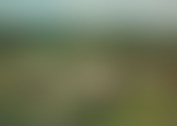 Bienvenue sur le nouveau site de la commune
