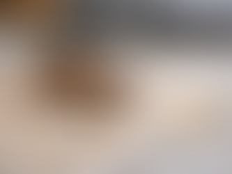 How Do I Get Rid of German roaches