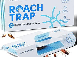 How Do I Get Rid of Cockroaches