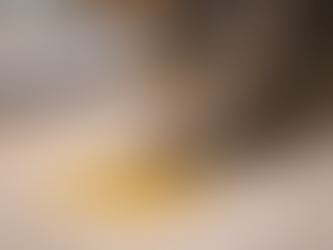 How Do I Get Rid of Cat Urine Smell