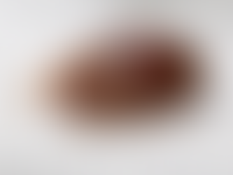 How to Get Rid of Bed Bugs