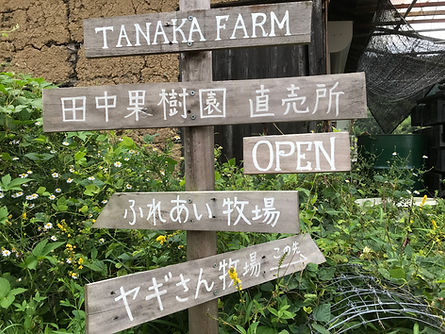 看板タナカ.jpeg