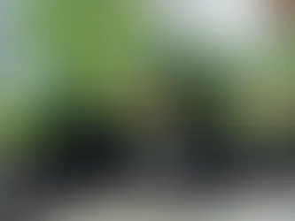 Tips for Buying the Right Sustainable Bags Online