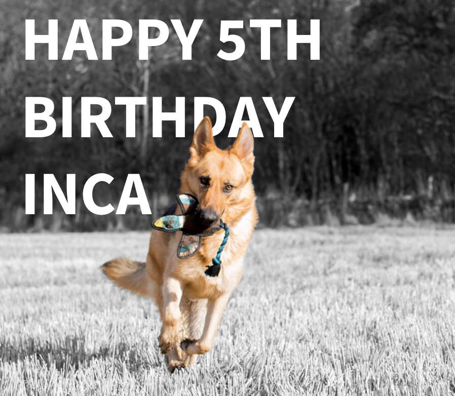 Inca Running