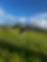 1718140278324020003_attach_139374330779840010.jpeg