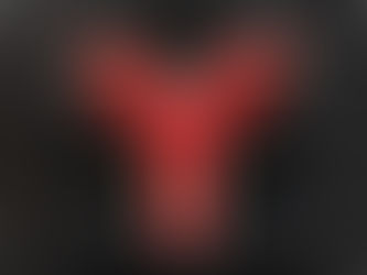 入団説明会 日程決定!