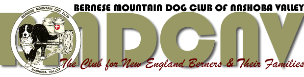 logo.gif