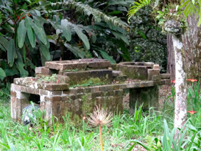 DSC06482.JPG