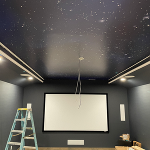Ceiling mural in a home theater