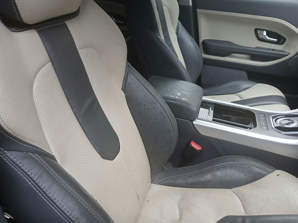 Thumbnail: Range Rover Evoque