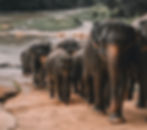 alex-azabache-hZhhVLLKJQ4-unsplash_edited.jpg