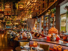 Dubai’s New Wave of Chef-Led Restaurants (And Why They Feel Different)