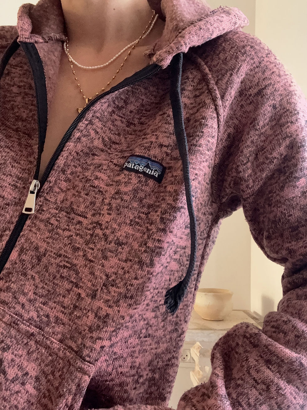 תמונה ממוזערת: Patagonia hoodie