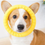 Thumbnail: Dog Ring Toys Indestructible Chewing Flying Floating Training Tools